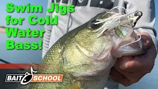 Swim Jig Tactics for Cold Water Bass Fishing (NEW BOOYAH Mobster Swim Jig) - Bait School