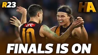 HAWTHORN AGENDA | JAITH RESIGNS, BARRAS UPDATE | AFL ROUND 23 2024