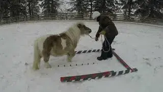 January 2023 agility bloopers