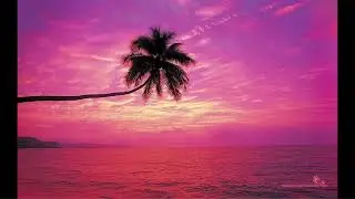 [FREE] Tropical Type Beat - &ldquo;Affection&rdquo;