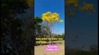 Belleza inigualable#short#trending#viral