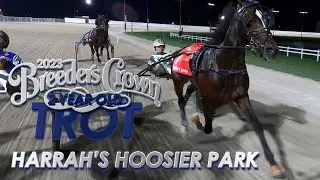2023 Breeders Crown - Karl - 2CT
