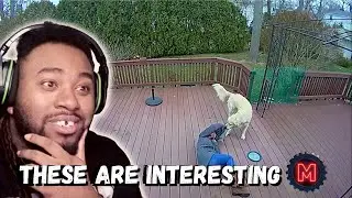 50 Incredible Moments Caught on CCTV Camera - Reaction!
