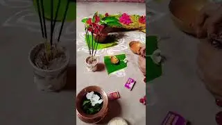 Happy tarini brata to all  🙏🌺 #shorts #shortsvideo