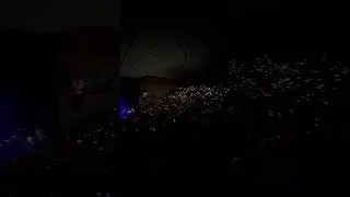 Cinema orchestra medley 💔