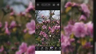 Kelas Master Pengeditan Warna Potret HDR Photoshop | Tampilan 4K Canon R5🔥#n925k#974