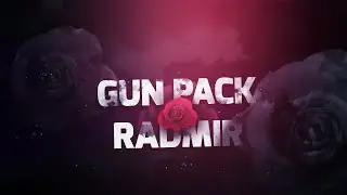 TOP 4 GUN PACK | RADMIR RP