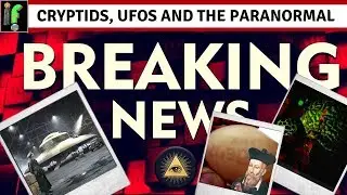 Cryptid Paranormal and UFO News.The Nostradamus chicken, glowing turtles, and German UFOs.