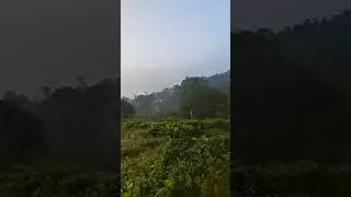 Live highlight Pure Village Water | Hidden Water Spot | Sri Lanka🇱🇰