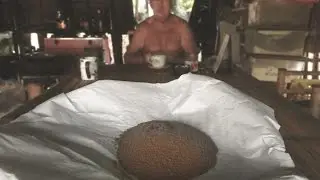 Sourcing Cricket Powder from a Farm in Thailand