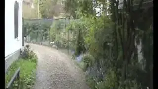 Aviornis International VZW  Jos Maesen4.flv
