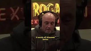 Joe rogan &ldquo;I take testosterone replacement&rdquo; #1795 - Antonio Garcia Martinez