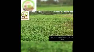 #conscious planet # save soil # how do we add humus content to soil