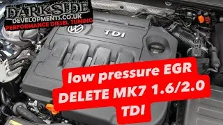 How to delete Low pressure EGR/cooler