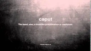 What does caput mean