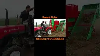 Harvesting Peanuts Like Magic: Peanut Picker Machine in Action!#peanut #groundnut