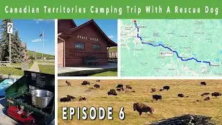 Canadian Territories Camping Trip With A Rescue Dog - Bonnyville to Peace River, Alberta - Ep 6