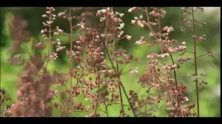 Water Wise Demonstration Gardens