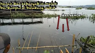 MANCING CIRATA‼️sulit di percaya ikan disini sangat melimpah