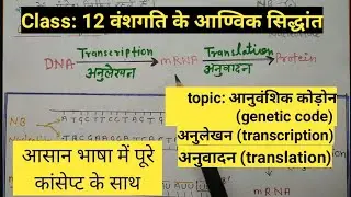 Molecular theory of inheritance || Genetic codons || Genetic Code #biology_class_12