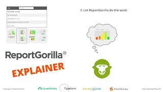 Automated Survey Reporting  - ReportGorilla Explainer