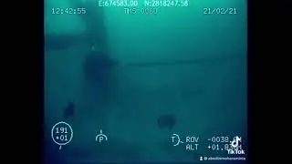 Saturation Diving In Persian Gulf