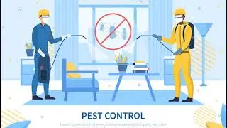 Pest Control Services in the Garden Route
