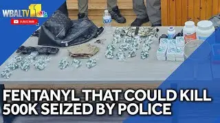 Fentanyl, guns, cash seized in major drug bust