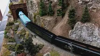 Blue goose running Santa Fe executive special
