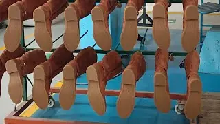Indian shoe 👠👟