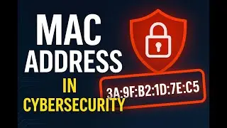 What is a MAC Address? A Complete Beginner's Guide