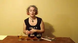 Quebec Beer Style Guide