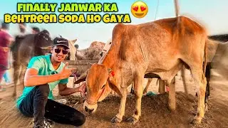 FINALLY APNE JANWAR KA BEHTREEN SODA HO GAYA 😍❤️ | GAYE BHAG GAI😳 | QURBANI 2K24 | OSAIREEM KHAN |