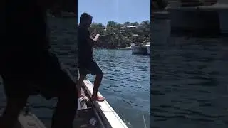 sydney fishing  at gymea bay 🎣 the fish going wild