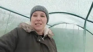 Zimowy dzień na wsi 