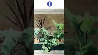 C&oacute;mo pintar vegetaci&oacute;n en 5 pasos 🌿 T&eacute;cnica f&aacute;cil y efectiva #arte #arteparaprincipiantes #art