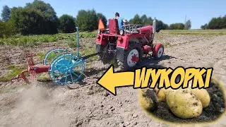 Pierwsze wykopki Esiok15 z nowym Nabytkiem.