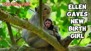 Congratulations! Ellen gave a newborn girl No name yet, @monkeyscorner