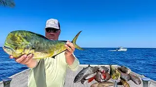 We Took a 23 Foot Bay Boat 60 MILES Offshore for EVERY Fish in the GULF!! {CATCH AND COOK}