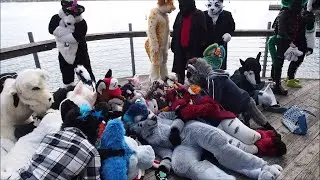 Toronto Autumn Furwalk 2015