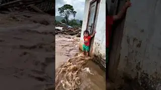 Dog rescue baby in flood water❤ #viralvideo#shortvideo #youtubeshorts #shortsfeed #flood #rescue#dog