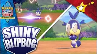 [LIVE!] SHINY BLIPBUG after 1,205 Encounters + The TRUTH About Fossil Pokemon! (SWSH)