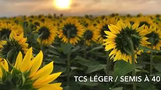 Pour les amoureux du Tournesol
