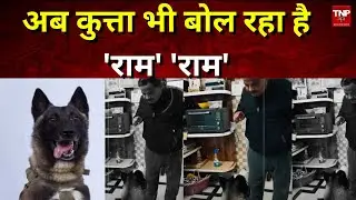 विधायक ज्ञानदेव तिवारी ने कुत्ते को सिखाया... राम-राम | Dog Speak Ram Ram || TNP NEWS ||