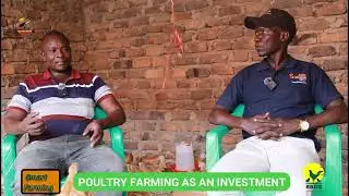 Grass to Grace:How Odengot changed his life by keeping Chicken.His journey from garden farming