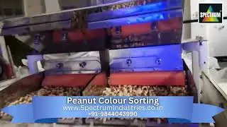 Peanut Perfection: Advanced Color Sorting Technology Revealed Spectrum Industries