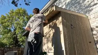 lean to shed build part 2