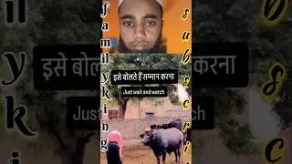मोहब्बत करो एक दूसरे से#गर्व #garve #islamicbackgroundvocals ##nature #dreding #youtub #garve