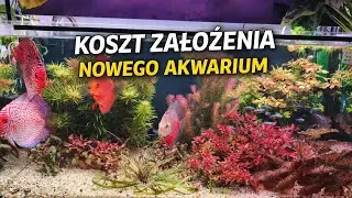 Ile kosztuje nowe akwarium......