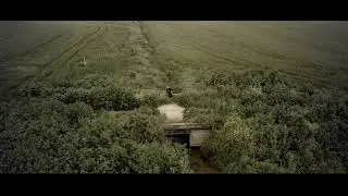 Indie Garden-Some Peace of Mind